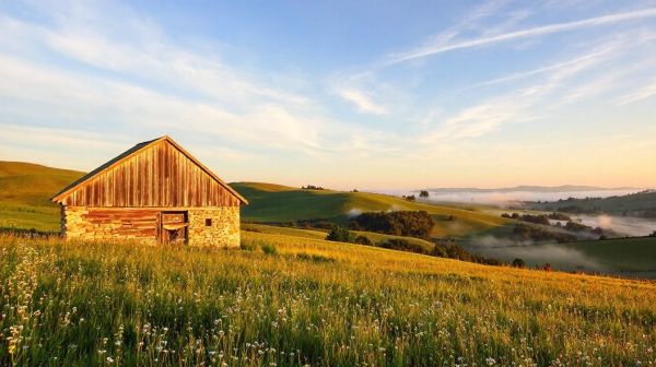Solutions efficaces pour lutter contre l'humidité en Orne