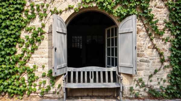 Solutions efficaces pour lutter contre l'humidité en Orne
